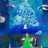 �J���b�^�����uCaretta Illumination 2013�v