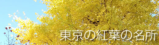 �����̍g�t�����ē��^�C�g��