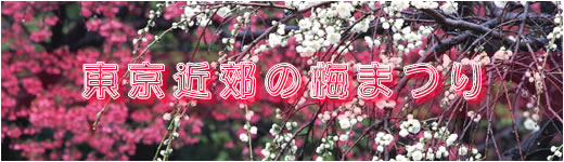 �����̔~�܂�ē��^�C�g��