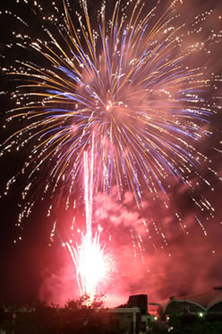 �^���s�čՉԉΑ��