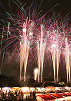 ���݂̂�ԉΑ��