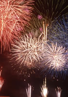 ���R�̉ԉ�