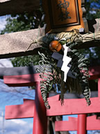 ���w�̎Q�q���@