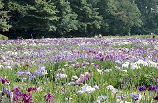 �����R�Ҋ��܂�