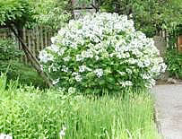 �����S�ԉ��E���z�Ԋӏ܉�