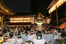 �����V���{����