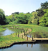 国立科学博物館附属自然保育園