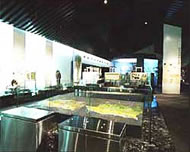 府中市郷土の森美術館