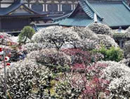 �����V�_�~�܂�