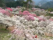 �g��~���~�܂�