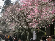 �����S�����~�܂�