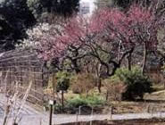 �����S�ԉ��~�܂�