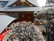 �����V�_�~�܂�