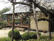 ��������~�܂�