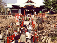 �T�˓V�_�Д~�܂�