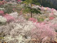 �g��~���~�܂�