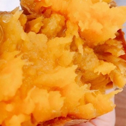 品川やきいもテラス2020