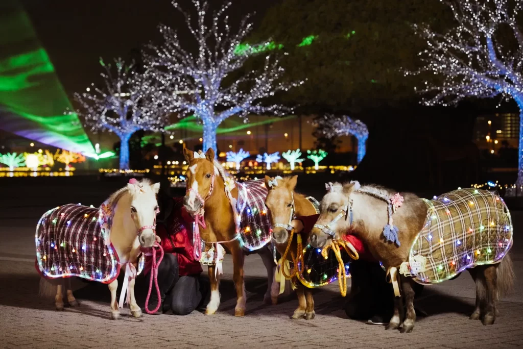 東京メガイルミ2025-2026