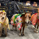 東京メガイルミ2025‐2026「午（うま）年MEGA新春イベント」