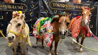 東京メガイルミ2025‐2026「午（うま）年MEGA新春イベント」