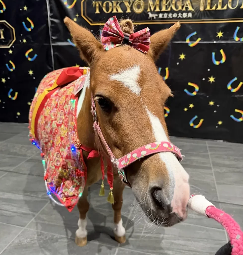 東京メガイルミ2025‐2026「午(うま)年MEGA新春イベント」