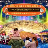 【大井競馬場イルミネーション】東京メガイルミ入場チケットをオンラインで購入